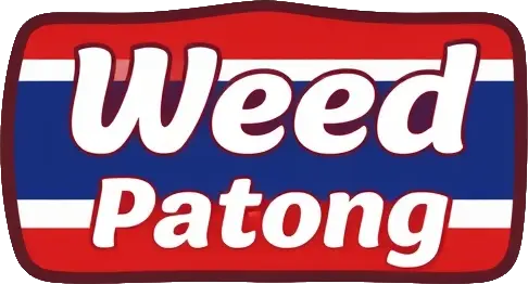 Weed Patong